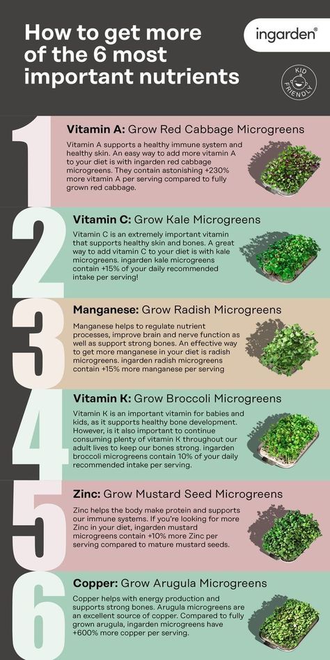 Microgreen Health Benefits, Micro Herbs Growing, Microgreen Indoor Setup, Microgreens For Beginners, Chia Seed Microgreens, How To Use Microgreens In Food, Sprouts And Microgreens, Growing Microgreens Outdoors, Indoor Vertical Farming