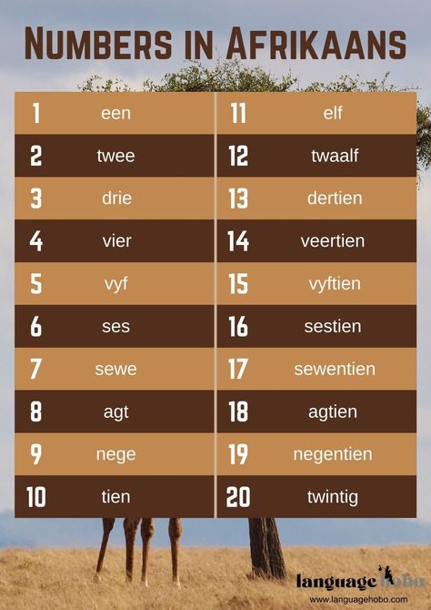 Learn how to count to 20 in Afrikaans! Afrikaans Words In English, How To Learn Afrikaans, Learning Afrikaans, Learn Afrikaans, Back To School Art Activity, Learning Template, Afrikaans Language, Counting To 20, Travel Phrases