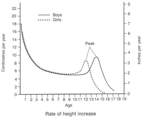 Growth Spurt Chart, Growth Spurt, Healthy Lifestyles, Height Increase, Growth And Development, Child Development, Health Education, In The Heights, Education