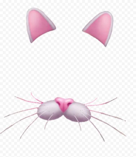 Cat Filter Png, Original Background, Animal Categories, Old Faces, Cute Face, Cat Cute, Cat Face, All About Cats, Cat Pin