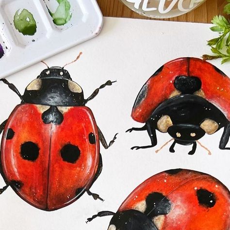 Stefanie Eberhard | Watercolor Artist on Instagram: "Ladybugs 🐞 

#insects #aquarelle #watercolorpainting #artist #drawings #watercolor #painting #sketchbook #artistoninstagram #ladybugs🐞 #doodleart #paintingart #galleryart #artdaily #drawingart #ladybug #illustrationoftheday #instaartwork #dailyarts #instapaint #instaart #watercolorartist #painting #watercolorgallery #art #watercolours #drawing #Aquarell #insect" Ladybug Watercolor, Painting Sketchbook, Watercolor Paintings Nature, Two Dots, Ladybug Party, Artsy Style, Owl Lovers, Watercolor Portraits, Watercolor Animals