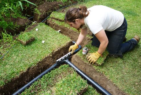 Shades of Grey(water): Recycle Your Water to Combat Drought—Here’s How! Grey Water Recycling, Rain Barrel System, Grey Water System, Water From Air, Water Irrigation, Rainwater Harvesting, Rain Water Collection, Off Grid Living, Sustainable Lifestyle