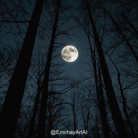 Embrace the serene beauty of the moonlit forest, where nature whispers under the glow of the full moon. Mystical and enchanting scenes brought to life. 🌕✨ #EmchayArtAI #LeonardoAi #Moonlight #ForestMagic #DigitalArt #NightScene #MysticalVibe Moonlit Forest, The Full Moon, Night Scene, The Glow, Full Moon, Instagram Account, Digital Art, Forest, Moon