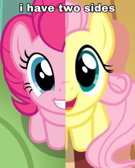 Heo Peppa, Mlp Memes, My Lil Pony, My Little Pony Characters, My Little Pony Drawing, Mlp Pony, My Little Pony Pictures, Pony Drawing, Mlp My Little Pony