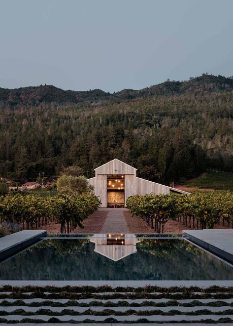 Striking modern farmhouse retreat surrounded by Napa Valley vineyards Vineyard Vines Outfits, Field Architecture, Backyard Vineyard, Napa Valley Vineyards, Vineyard House, Wine Country California, Zinfandel, Modern Barn, A Barn