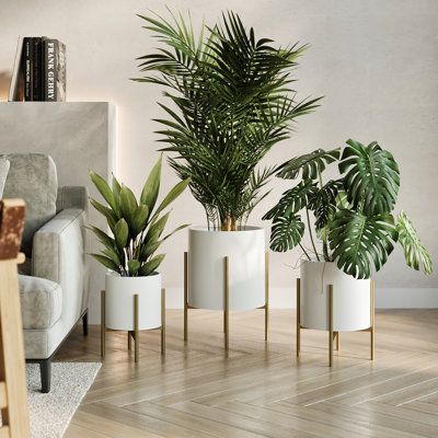 If you're searching for a versatile planter that can effortlessly accommodate your potted plants, the Raya planter is the perfect option. Its simple design, inspired by mid-century modern style, adds depth and character to any room. The brilliant white hue of the planter beautifully highlights the lush greenery, while the durable metal construction offers a reliable base for medium to large-sized plants. The four-legged wooden base provides stability and an elevated touch to the plant. Its round White And Gold Planter Pots, Living Room Medium Size, Plant Decor In Bedroom, Plant Furniture Indoor, Farmhouse Living Room Plants, Artificial Potted Plants Indoor, Organic Modern Plants, Living Room Designs Plants, Waiting Area Decor