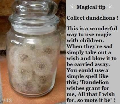 Eclectic Witch, Wiccan Witch, Magick Spells, Wiccan Spell Book, Dandelion Wish, Witchcraft Spell Books, Witch Spell Book, Witchy Crafts, Witchcraft For Beginners