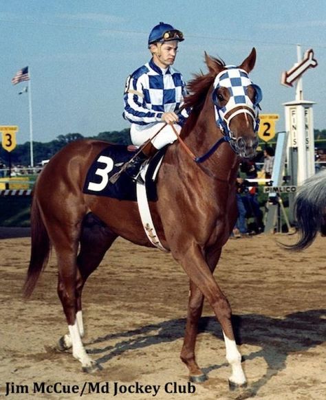 Secretariat Secretariat Horse, Preakness Stakes, Triple Crown Winners, Belmont Stakes, Thoroughbred Horse Racing, Sport Of Kings, Racing Posters, Race Horses, Thoroughbred Horse