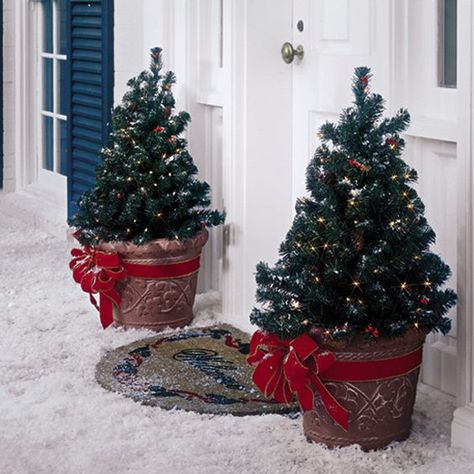 38 Outdoor Christmas Trees That Wow Lodge Christmas Decor, Outdoor Christmas Planters, Potted Christmas Trees, Christmas Lodge, Hanging Christmas Lights, Outdoor Christmas Tree, Christmas Planters, Pre Lit Christmas Tree, Real Christmas