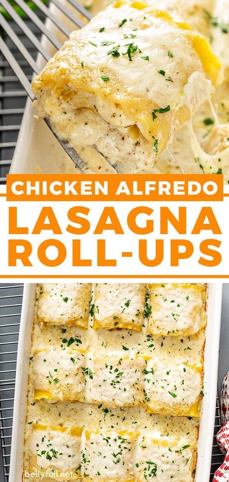 Lasagna Roll Ups With Ricotta, Chicken Alfredo Lasagna Rolls, Alfredo Lasagna Rolls, Chicken Lasagna Roll Ups, Chicken Alfredo Lasagna Recipe, Chicken Lasagna Rolls, Chicken Alfredo Lasagna, Alfredo Lasagna, Lasagna Roll Ups