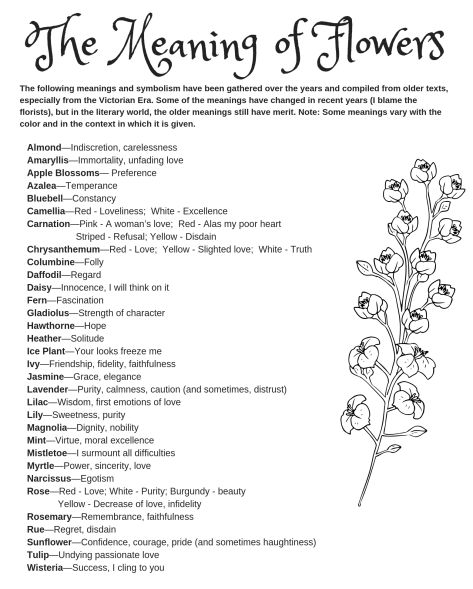 Writing: Symbolism of Flowers - Robin Woods Symbolism Of Flowers, Symbolism In Writing, Symbolism Writing, Types Of Flowers And Meanings, Flowers Symbolism, Writing Symbols, Flowers List, Plant Symbolism, Green Witchery