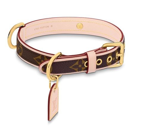 The Top Designer Dog Collars in 2024-LV-GUCCI-DIOR-BURBERRY – Veselka Canine Couture Louis Vuitton Dog Collar, Gucci Dog Collar, Puppy And Cat, Cats And Puppies, Most Expensive Dog, Louise Vuitton, Expensive Dogs, Luxury Dog Collars, Collars And Leashes