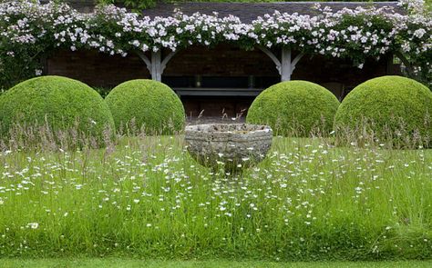 Meadow Landscaping, Italianate Garden, Magnolia Garden, Sunset Garden, Formal Garden Design, Garden Gate Design, Grass Garden, Garden Hedges, Wild Flower Meadow