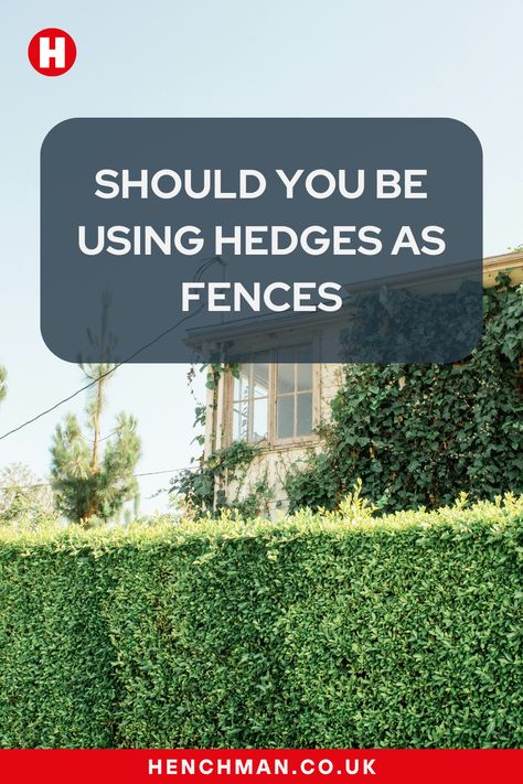 Looking for a new way to enclose your garden, or maybe you just fancy a change? 🌳
Hedges as fences can bring so many benefits to your garden, more than just aesthetics. Keep reading to see why hedges can make fantastic fences for your garden.
#hedges #gardening #horticulture #landscaping #garden #gardens Garden Hedges, Landscaping Garden, English Garden, Green Plants, Hedges, Horticulture, Gardening Tips, Fence, Landscaping