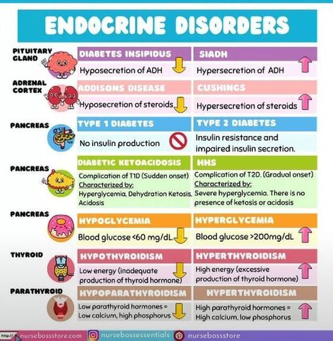 Endocrine Disorders #nursingstudent #nurse #resources - Image Credits: nursebossessentials Endocrine System Nursing, Pathophysiology Nursing, King Abdulaziz, Nursing School Essential, Nurse Study, Body Functions, Nursing School Motivation, Endocrine Disorders, Nursing Mnemonics