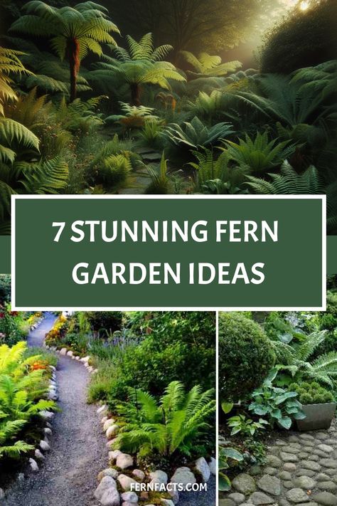 Lush fern garden with a variety of ferns and a winding stone path, promoting 7 stunning garden ideas from fernfacts.com. Garden Ferns Ideas, Ferns In Garden Beds, Fern House Ideas, Fernery Ideas Design Shade Garden, Fern Landscaping Ideas, Tropical Fern Garden, Fern Garden Bed, Sage Garden Ideas, Australian Fern Garden