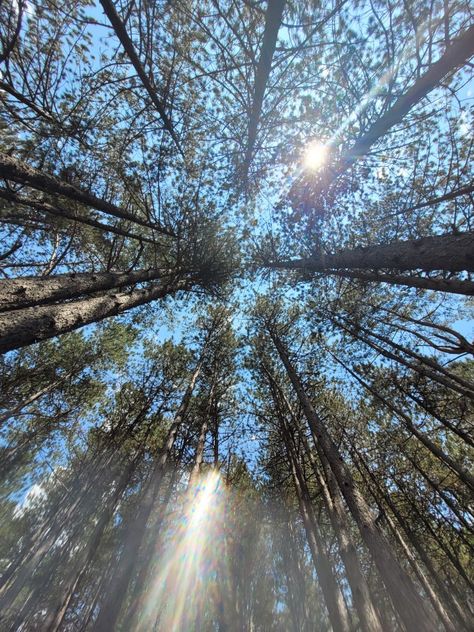 📍zlatibor, serbia Zlatibor Serbia, Serbia, Quick Saves, Nature