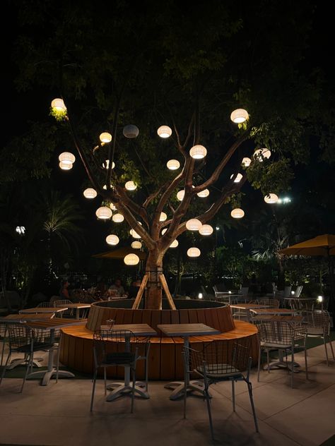 Aesthetic tree with lights Boho Restaurant, Aesthetic Tree, Forest Cafe, Tree Bar, Tree Restaurant, Fairy Lights Wedding, Tree With Lights, Small Yard Landscaping, Patio Trees