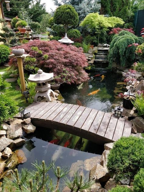 Kolam Koi, Japanese Garden Landscape, Garden Pond Design, Small Pond, Desain Lanskap, Japanese Garden Design, Pond Design, Ponds Backyard, Koi Pond