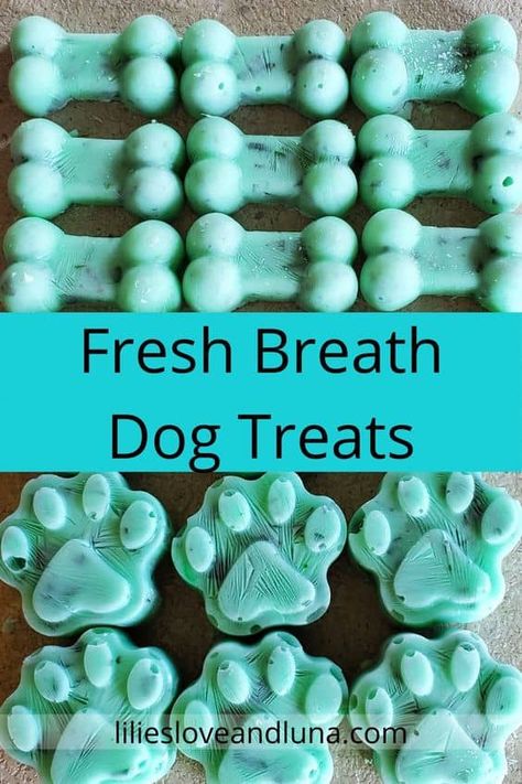 Easy 3 ingredient frozen fresh breath dog treats. Dog Breath Treats Homemade, Healthy Frozen Treats For Dogs, Dog Fresh Breath Treats, Homemade Dog Treats For Bad Breath, Dog Treats For Bad Breath, Simple Dog Treats, Frozen Treats For Dogs, Fresh Breath Dog Treats, Dog Breath Treats