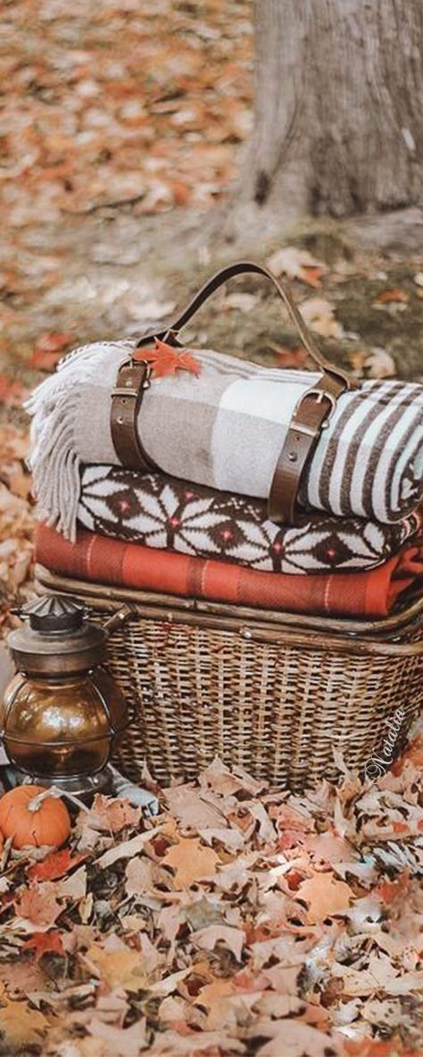 Autumn Picnic Autumn Cabin, Autumn Picnic, Autumn Country, Country Picnic, Autumn Beauty, Autumn Season, Autumn Theme, Fall Season, Picnic Basket