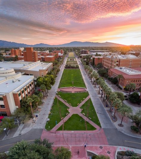 USS Arizona Mall Memorial at the University of Arizona - Tucson Arizona - LocalWiki University Of Arizona Aesthetic, U Of Arizona, University Of Arizona Tucson, University Of Arizona Campus, Romanticizing College, Arizona Tucson, Arizona Aesthetic, Arizona University, Arizona City