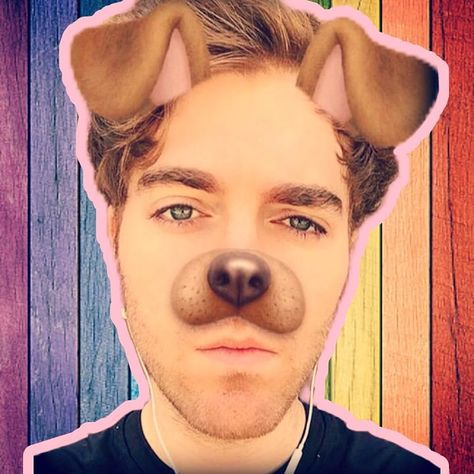 *sigh* I cant wait for the next video. I NEED TO KNOW WHY THEY WENT TO TEXAS #shanedawson #shanedawsonedit #picsart #shanaynay… Shane Dawson Memes, Shane And Ryland, Jack Harries, Caspar Lee, Dog Filter, Ricky Dillon, Joey Graceffa, Connor Franta, Joe Sugg