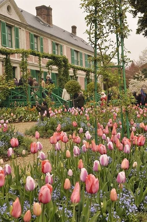 Giverny Monet, Monet Garden Giverny, Formal Garden Design, Monet's Garden, Formal Garden, Garden Cottage, Exotic Flowers, Claude Monet, Dream Garden