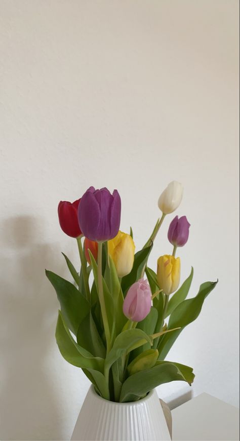 Tulips Vase Aesthetic, Sabrinacore Aesthetic, Tulips Lockscreen, Flower Vase Aesthetic, Vase Aesthetic, Colorful Tulips, Tulip Vase, Tulip Colors, Phone Wallpaper Boho