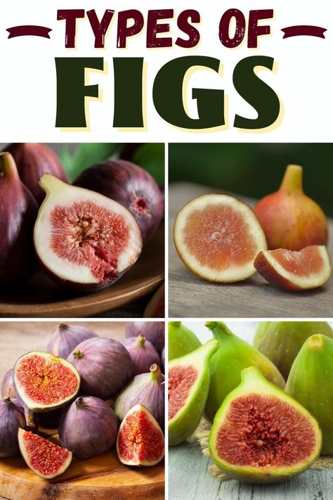 Different types of figs range from Brown Turkey to Black Mission, to Adriatic and Celeste. Try them all for sweet recipe additions! Types Of Figs, Brown Turkey Fig Recipes, Fig Recipes Fresh, Fig Varieties, Black Mission Fig, Fig Trees, Edible Seeds, Fig Recipes, Sweet Recipe