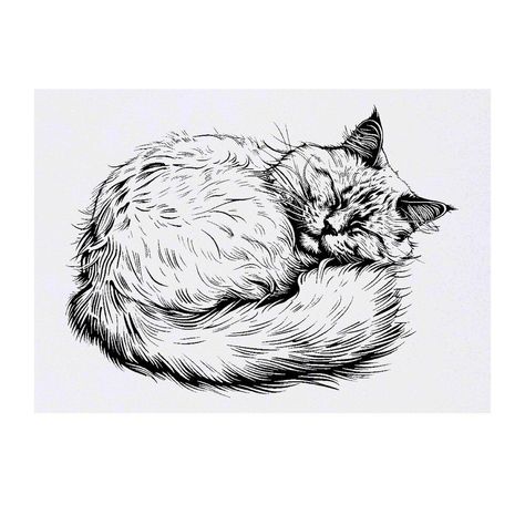 Persian Cat Tattoo, Cat Tatoos, Temporary Tattoo Paper, Large Temporary Tattoos, Tattoo Paper, Toxic Water, Pool Parties, Tattoo Sticker, Persian Cat