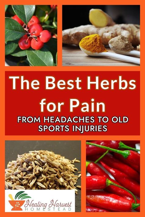 Herbs For Headaches, Help With Inflammation, Herbal Medicine Recipes, For Headaches, Herbal Salves, Herbal Tinctures, Herbs For Health, Migraine Headaches, Natural Pain Relief