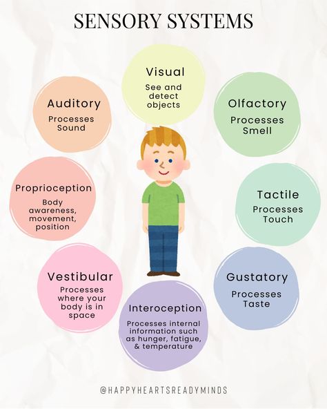 🧠 Discover Your Child's Hidden Superpowers! 🧩 Ever wonder why your child reacts a certain way? 🤔 It all starts with the 8 sensory systems: Visual 👀, Olfactory 👃, Tactile ✋, Gustatory 👅, Interoception 🫀, Vestibular 🎢, Proprioception 🦶, and Auditory 👂. Dr. Stephen Porges stated "Sensory experiences drive our behavior and contribute to the organization of our thoughts and emotions.”. 📚 But what happens when there's a glitch in the system? Sensory dysregulation can lead to unexpected behaviors,... Sensory Dysregulation, Stephen Porges, Sensory System, Sensory Integration, Sensory Processing, Sensory Experience, Smart Goals, Social Emotional Learning, Social Emotional