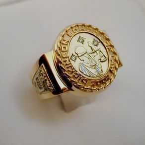 Family Crest Ring, College Ring, Graduation Ring, Family Crest Rings, College Rings, Custom Signet Ring, Graduation Rings, Lawyer Fashion, Mens Gold Jewelry