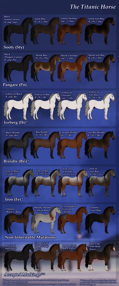 Centaur Names, Cow Centaur, Centaur Base, Centaur Female, Centaur Oc, Female Centaur, Oc Things, Animal Comics, Horse Facts