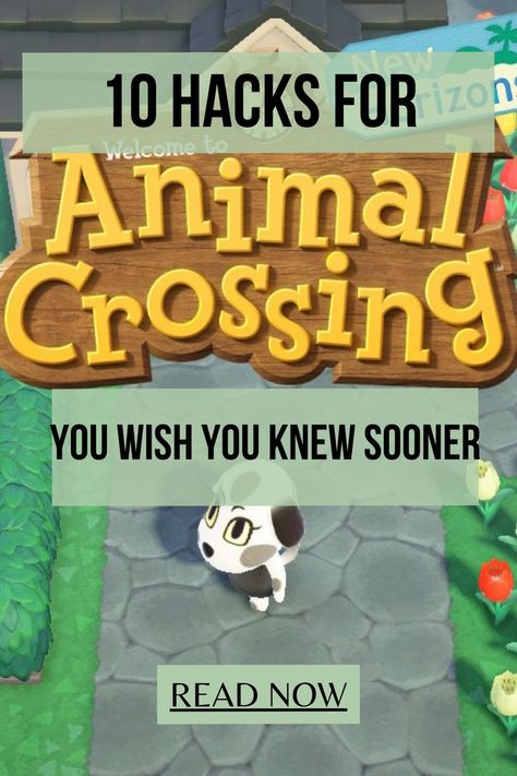 10 Hacks for the game Animal Crossing New Horizons game you wish you knew sooner on the Zillennial Zine Acnh Level Ideas, Animals Crossing Island Ideas, Custom Design Codes Animal Crossing, Animal Crossing Cozy Island Ideas, Acnh Island Designs Beginner, Animal Crossing Cobblestone Path Design, Acnh Interior Design Ideas, Animal Island Ideas, Acnh Island Designs Cottagecore Codes