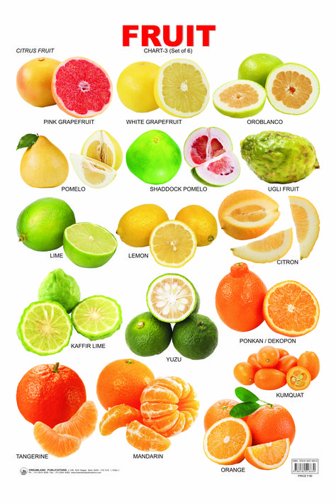 Citrus Fruit Chart Citrus Fruit List, Fruits And Vegetables List, Fruit Names, Fruit List, Food Vocabulary, Types Of Fruit, Food Charts, Different Fruits, Citrus Fruits