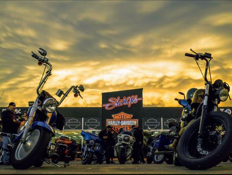 Biker Rallies, Sturgis Rally, Sturgis Motorcycle Rally, Bike Rally, San Diego State University, Motorcycle Rallies, Church Choir, Oh What Fun, On Motorcycle