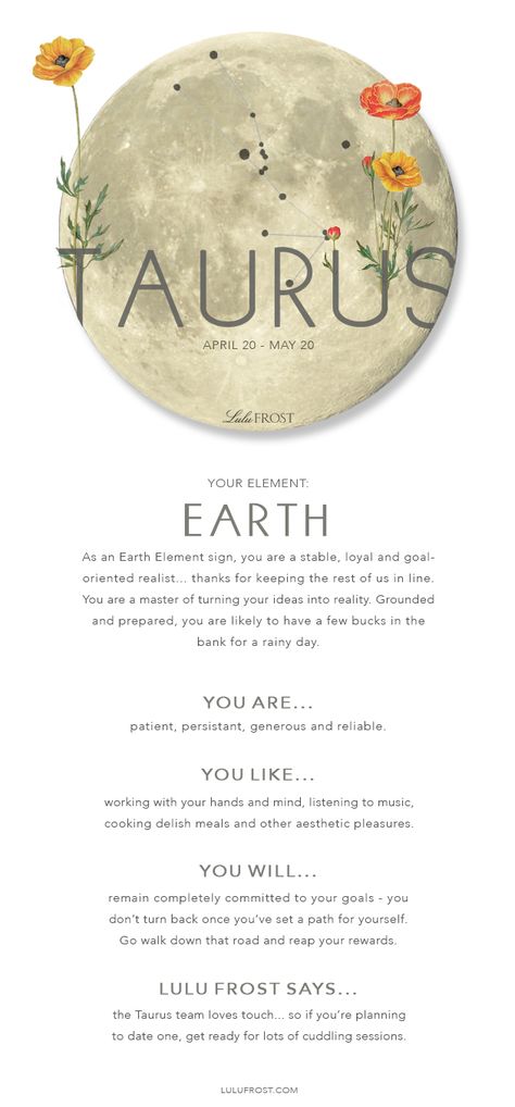 Taurus Flower, Taurus Wallpaper, Taurus Zodiac Quotes, Taurus Element, Taurus Astrology, Taurus Art, Element Signs, Horoscope Compatibility, Taurus Moon