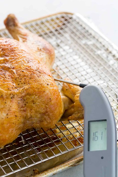 When is the right time to stop cooking meats, chicken, or fish so you can serve the perfect meal every time? I've compiled a list of general guidelines for using internal food temperatures and carryover cooking to gauge the doneness of your protein. #foodsafety #cooking #temperature Meat Thermometer Best, Temperature To Bake Chicken, Cooked Chicken Temperature, Chicken Thighs In Oven, Oven Roasted Chicken Thighs, Kitchen Wishlist, Oven Baked Chicken Thighs, Chicken Breast Crockpot Recipes, Boiled Chicken Breast