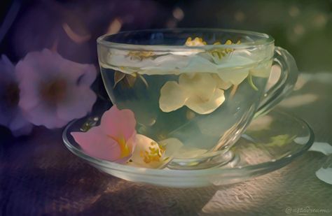 Detailing art by Astasia DreamHello! Pretty Drinks, My Cup Of Tea, Flower Tea, High Tea, Glass Cup, Beautiful Things, Macarons, Tea Time, Sake