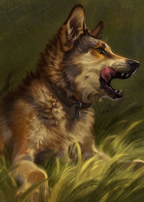 Devin Elle Kurtz, Dog Portraits Art, Dog Illustrations, Animal Study, Canine Art, Wolf Dog, Wolf Art, Arte Animal, Arte Fantasy