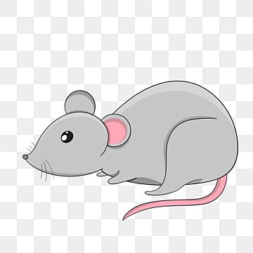 mouse clipart,rat,side,rat clipart,gray,clip art,clipart Rat Activity, Rat Clipart, Rat Png, Rat Cartoon, Mouse Clip Art, Cartoon Rat, Mouse Clipart, Holiday Homework, Mouse Cartoon