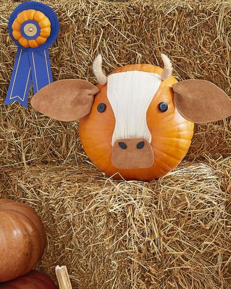 100+ Creative Pumpkin Decorating Ideas - Easy Halloween Pumpkin Decorations and Crafts 2020 Pumpkin Painting Ideas Easy, Decorating Halloween, Creative Pumpkin Decorating, Pumpkin Decorating Ideas, Pumpkin Decorating Contest, Pumpkin Contest, Painting Ideas Easy, Halloween Pumpkin Designs, Pumpkin Painting Ideas