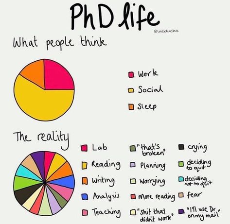 Phd Quote, Graduate School Humor, Dissertation Motivation, Phd Comics, Phd Humor, Phd Psychology, Phd Life, Thesis Writing, Psychology Student