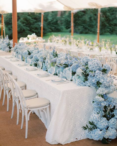 Blue Hydrangea Wedding, Baby Blue Weddings, Hamptons Wedding, Blue White Weddings, Blue Hydrangeas, Light Blue Wedding, Hydrangeas Wedding, Something Blue Wedding, Blue Themed Wedding