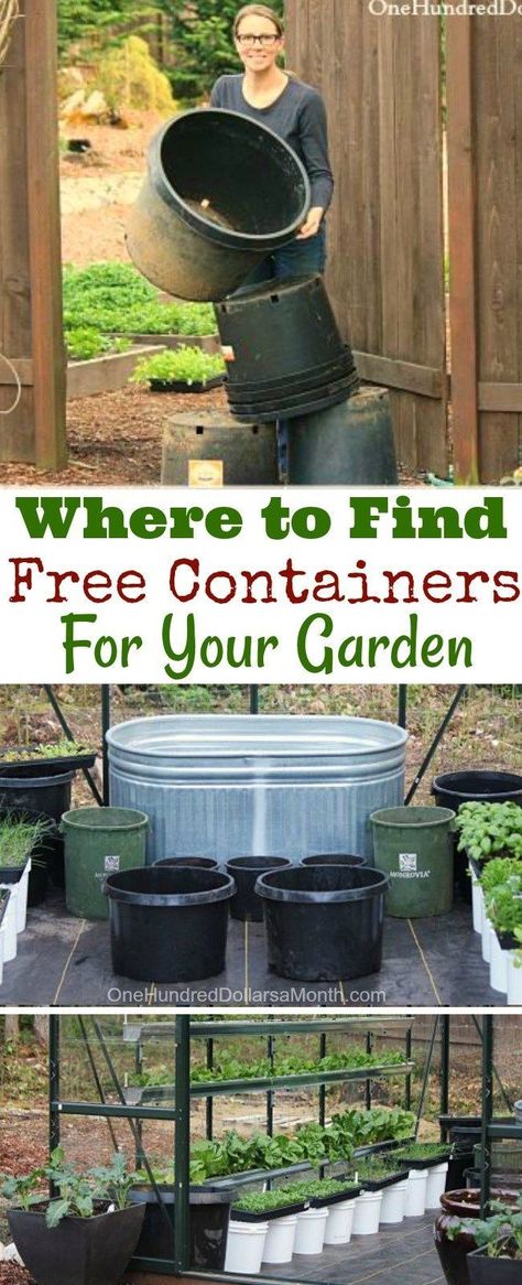 Gardening Hacks, Where to Find Free Containers, free Garden Supplies, Gardening 101, Recycled Garden Containers Garden Diy Decoration Ideas, Indoor Gardening Supplies, Gemüseanbau In Kübeln, Jardim Diy, Gardening Hacks, Recycled Garden, Gardening 101, Container Gardening Vegetables, Garden Containers