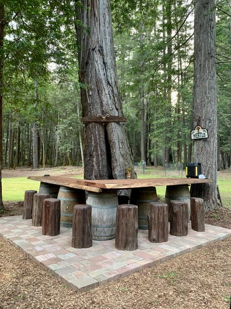 Forest Chill Area, Forest Restaurant Outdoor, Cabin Landscape Ideas Woods, Hang Out In The Woods, Forest Sitting Area, Backyard Picnic Area, Backyard Forest Ideas, Hang Out Spot In The Woods, Bar Around Tree