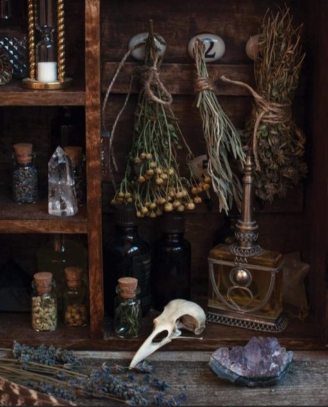 Cosy Witch Aesthetic, Witch Asethic, Herbs Aesthetic, Dark Witch Aesthetic, Witchy Autumn, Green Witch Aesthetic, Witchcore Aesthetic, Witch Hut, Witches Cottage