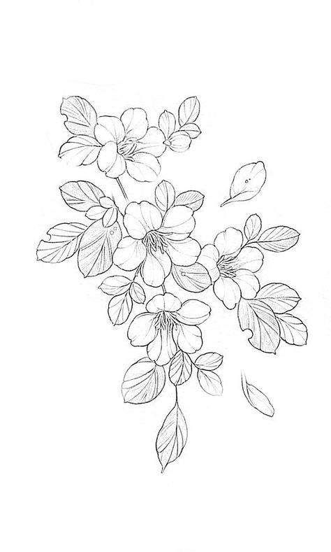 Outline Flowers Tattoo, Flower Sketch Reference, Floral Design Outline, Flowers Outline Design, Japanese Flower Outline, Blossom Flower Tattoo Design, Flower Tattoo Outline Drawing, Cherry Blossom Reference, Cherry Blossom Outline Tattoo